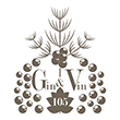 Logo Vin & Gin 105